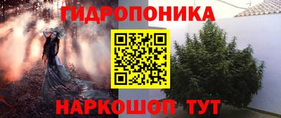 индика Жуковский