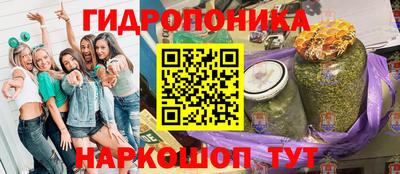 индика Жуковский