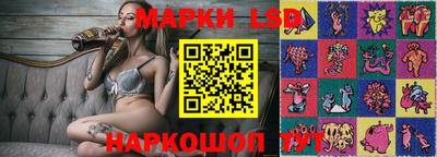 индика Жуковский