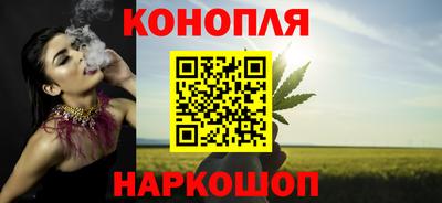 индика Жуковский
