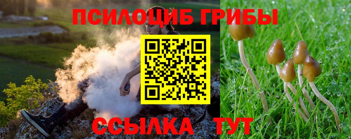 Псилоцибиновые грибы GOLDEN TEACHER  Псилоцибиновые грибы MAGIC MUSHROOMS  Вход с VPN  Челябинск 